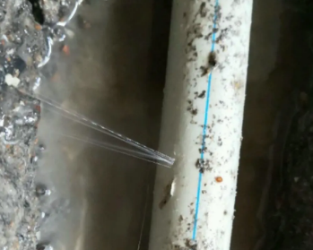 向阳卫生间测漏水多少钱